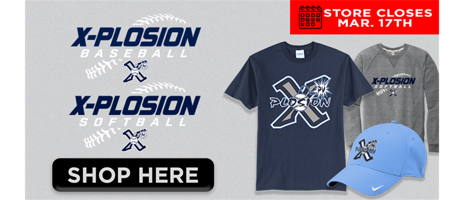 Spring Webstore